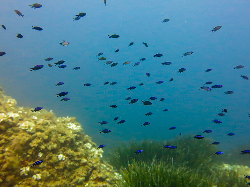 @biotope