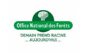 Officeforets