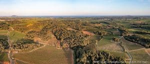  BV Soupié Castelnau De Guers SMBT ©S.Nancy EnHaut 270525 DJI 0997 Panorama