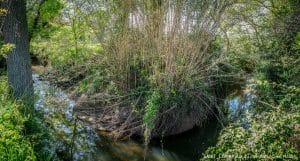 En Aval De La D2 (Gigean/Villeveyrac)