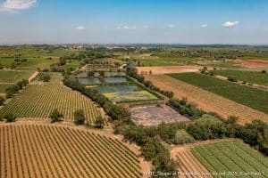 Soupié, Lagunage De Pomérols Et Pinet