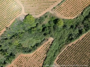 Soupié, Au Droit De Pioch Des Tines