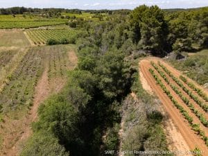 Soupié Au Droit Et Au Sud De Pioch Des Tines