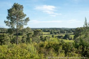 Vue Depuis L'Est Vers Combes De Fraïsse