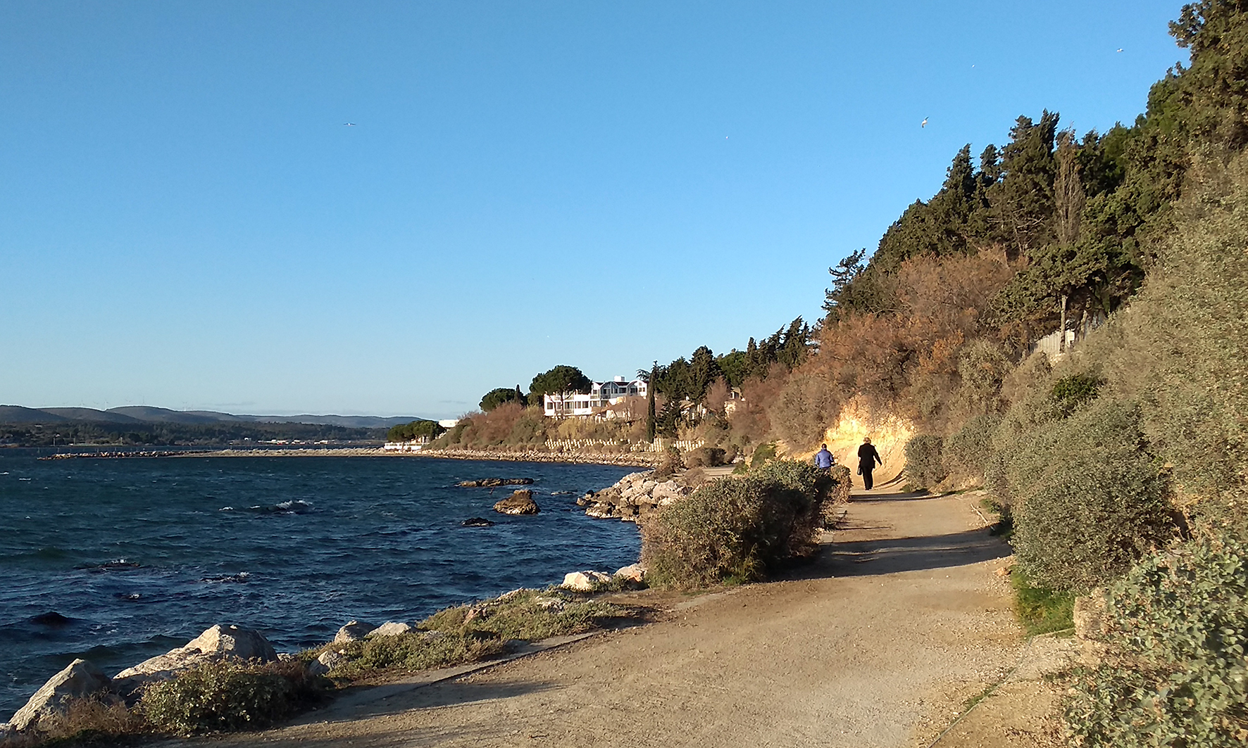 La promenade des bains à Balaruc - Thau Nature